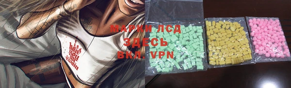 твердый Аркадак