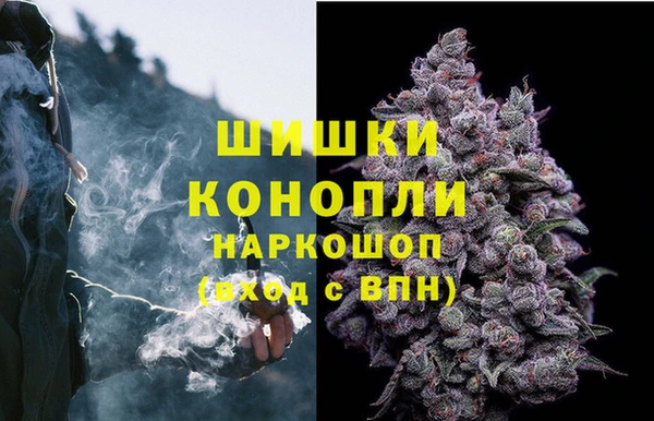 дмт Армянск