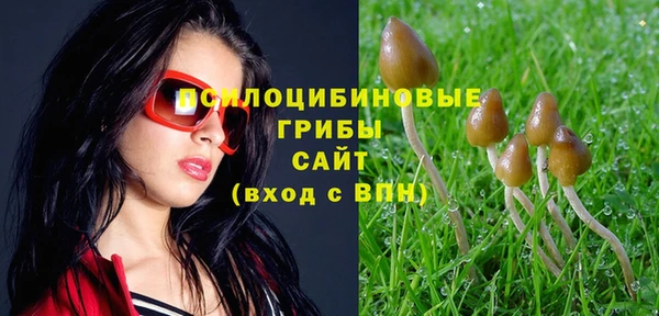 твердый Аркадак