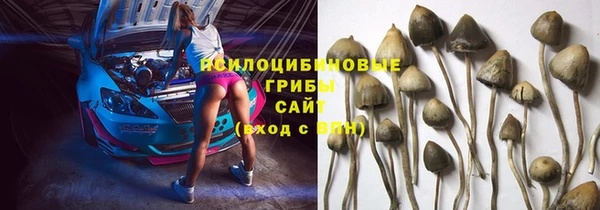 дмт Армянск